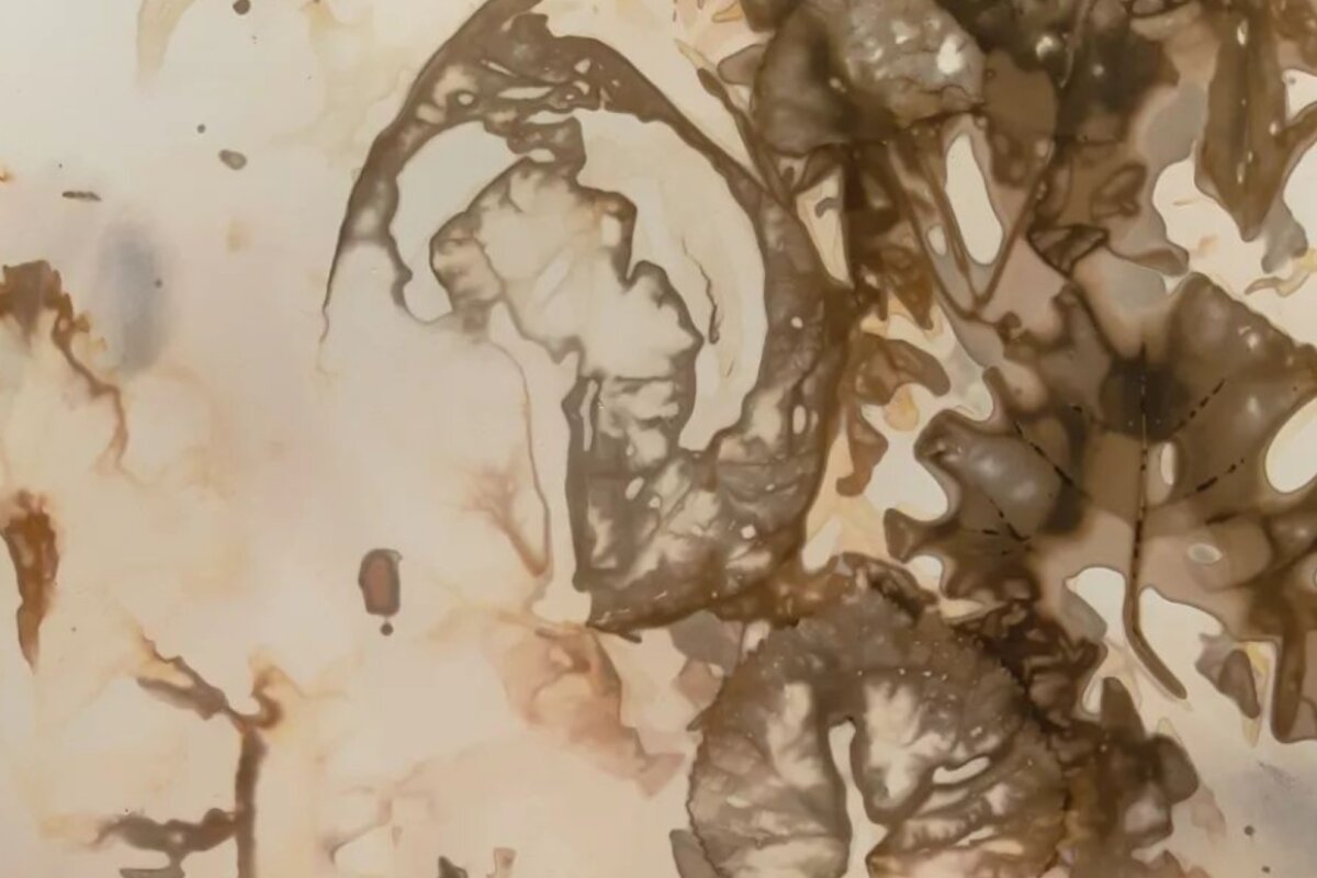 The Metabolising Analogue